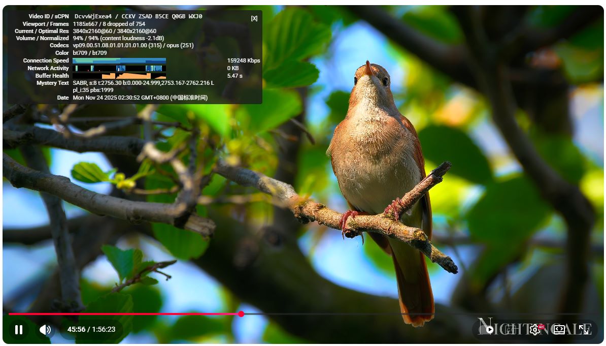 KooDog YouTube 4K测试 /posts/koodog-airport-review/KooDog,YouTube4K%E6%B5%8B%E8%AF%95.png